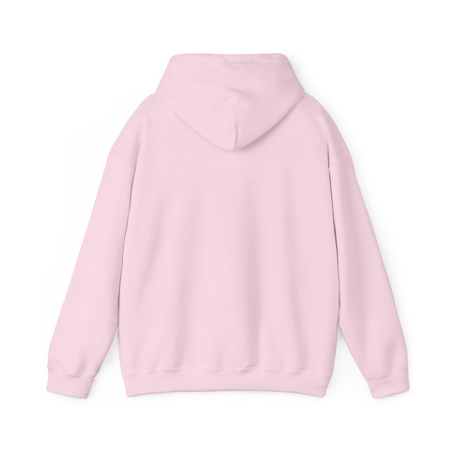 2026 Family Reunion Hoodie – Vintage Boat & Seagull Design