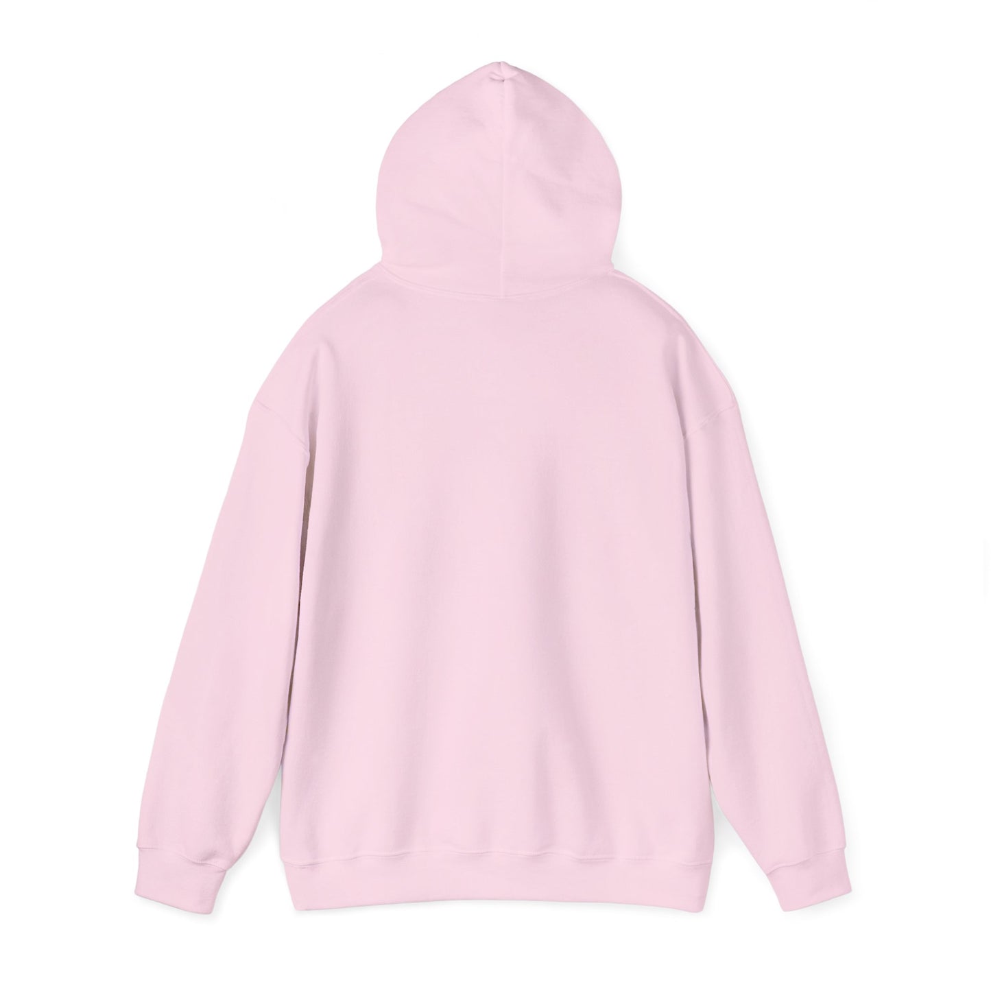 2026 Family Reunion Hoodie – Vintage Boat & Seagull Design