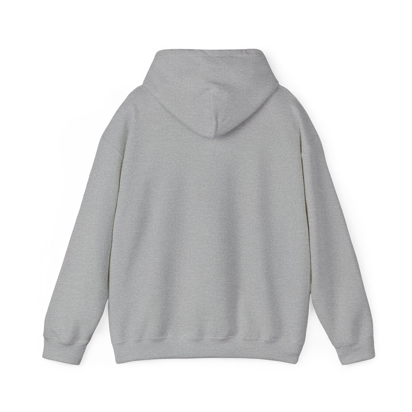2026 Family Reunion Hoodie – Vintage Boat & Seagull Design